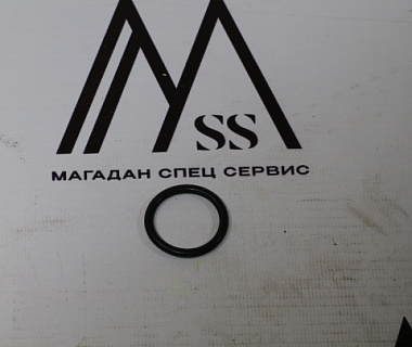 07000-03025 Кольцо