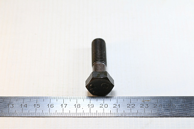 01010-31245 Болт