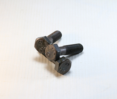 01010-31245 Болт