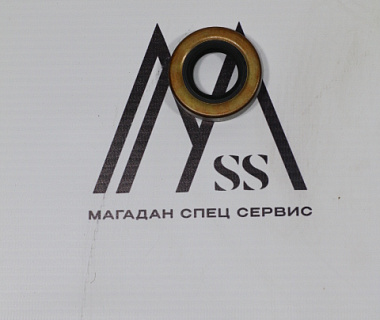 07012-00022 Сальник