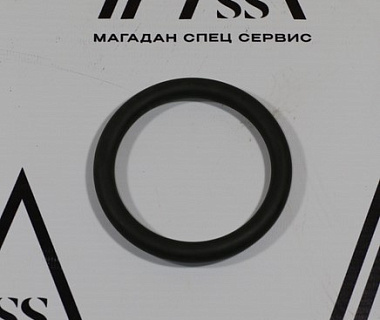 8P0021 О-кольцо