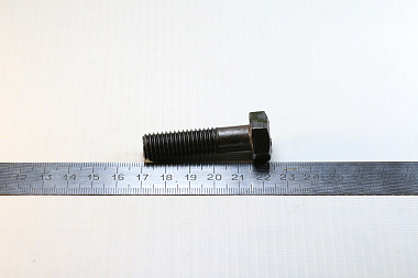 01010-31245 Болт
